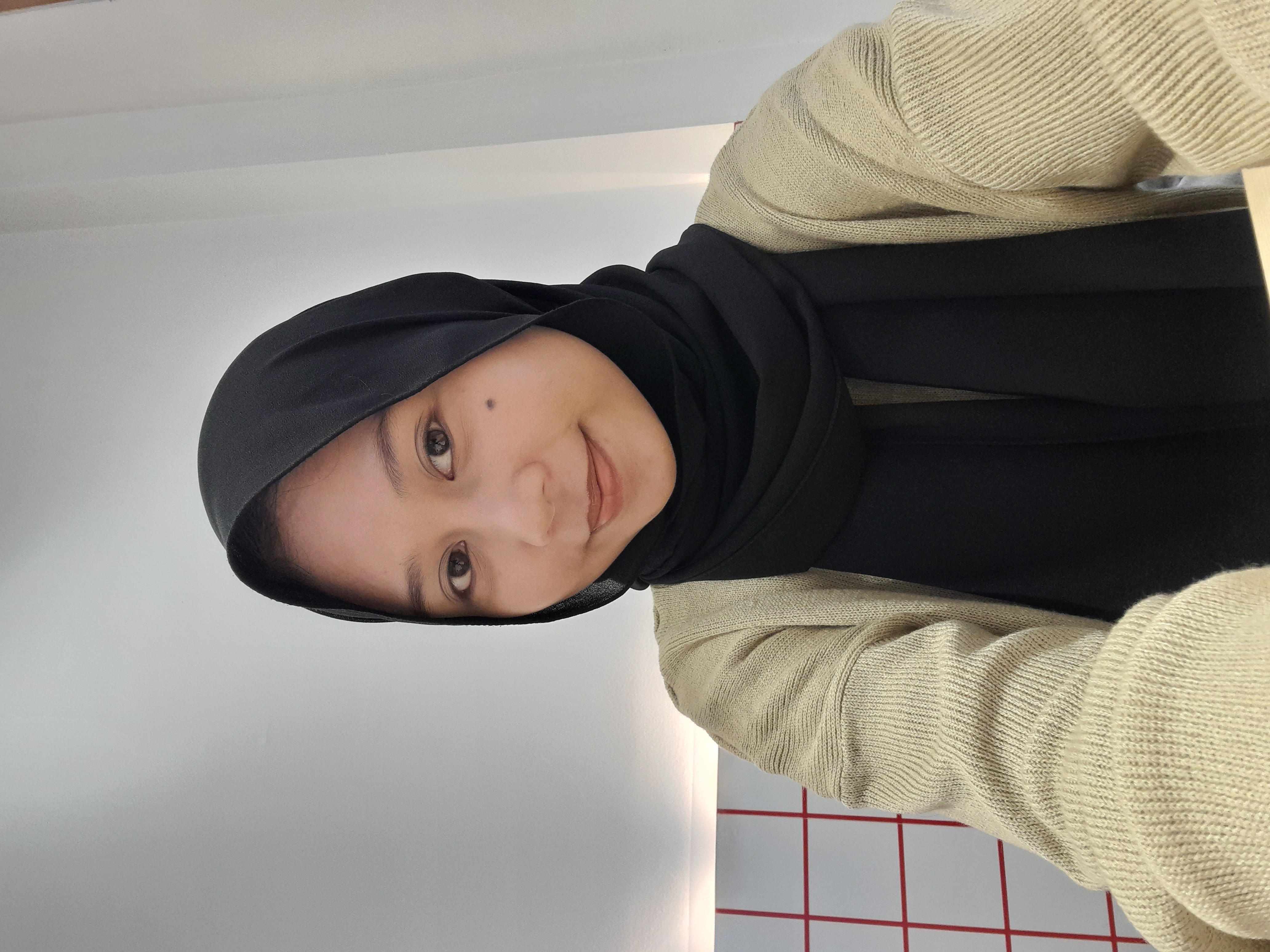 Gambar 1